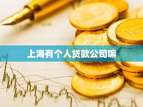 上海有个人贷款公司嘛