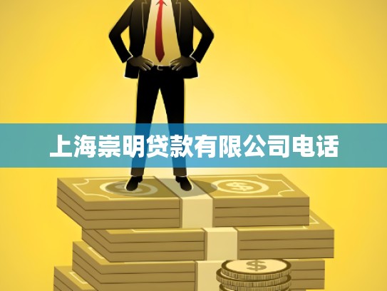 上海崇明贷款有限公司电话
