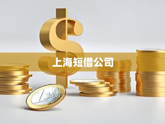上海短借公司
