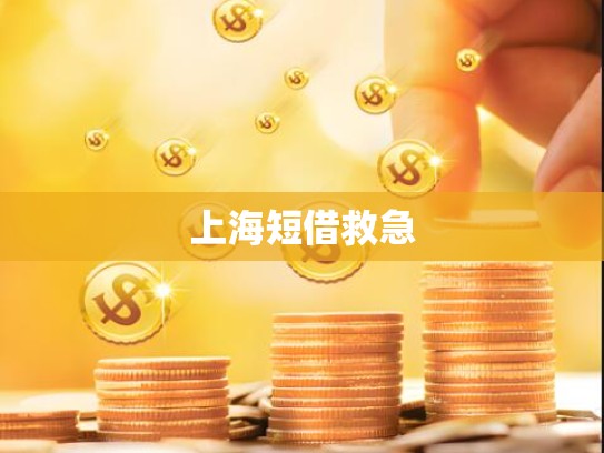 上海短借救急