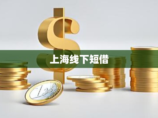 上海线下短借