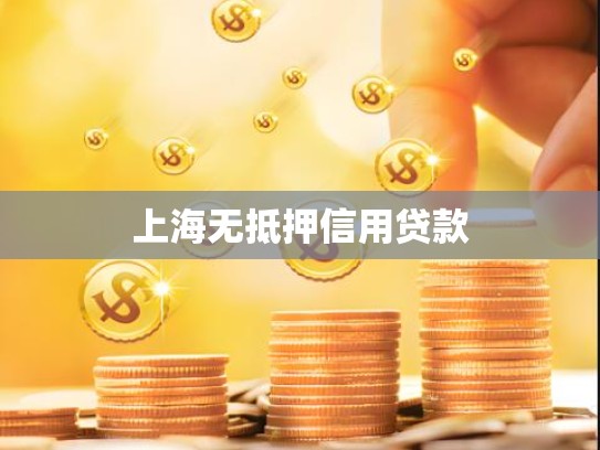 上海无抵押信用贷款