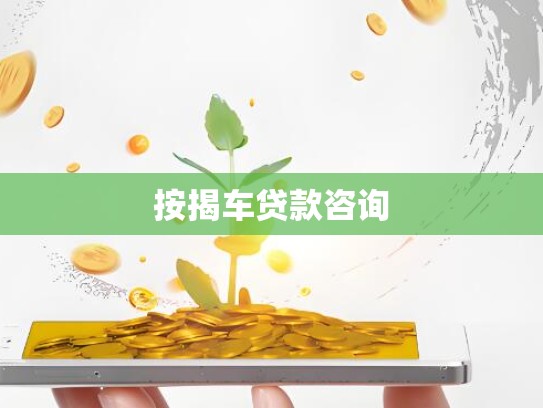 按揭车贷款咨询