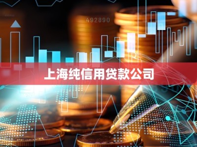 上海纯信用贷款公司