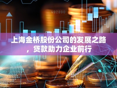 上海金桥股份公司的发展之路，贷款助力企业前行