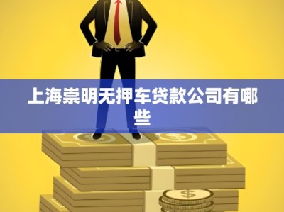 上海崇明无押车贷款公司有哪些