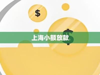 上海小额放款
