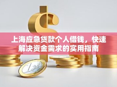 上海应急贷款个人借钱，快速解决资金需求的实用指南