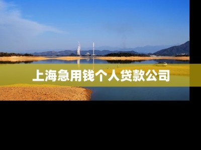 上海急用钱个人贷款公司