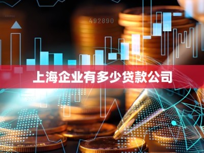 上海企业有多少贷款公司