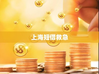 上海短借救急