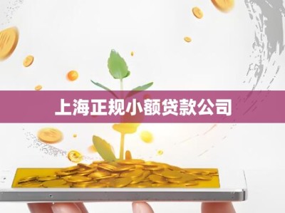 上海正规小额贷款公司